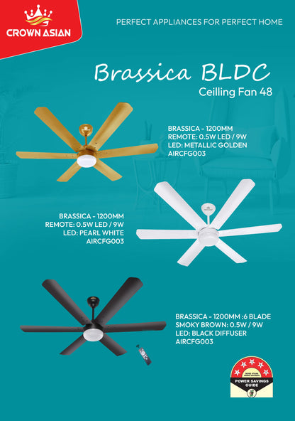 Brassica BLDC Ceiling Fan 48