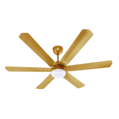 Brassica BLDC Ceiling Fan 48