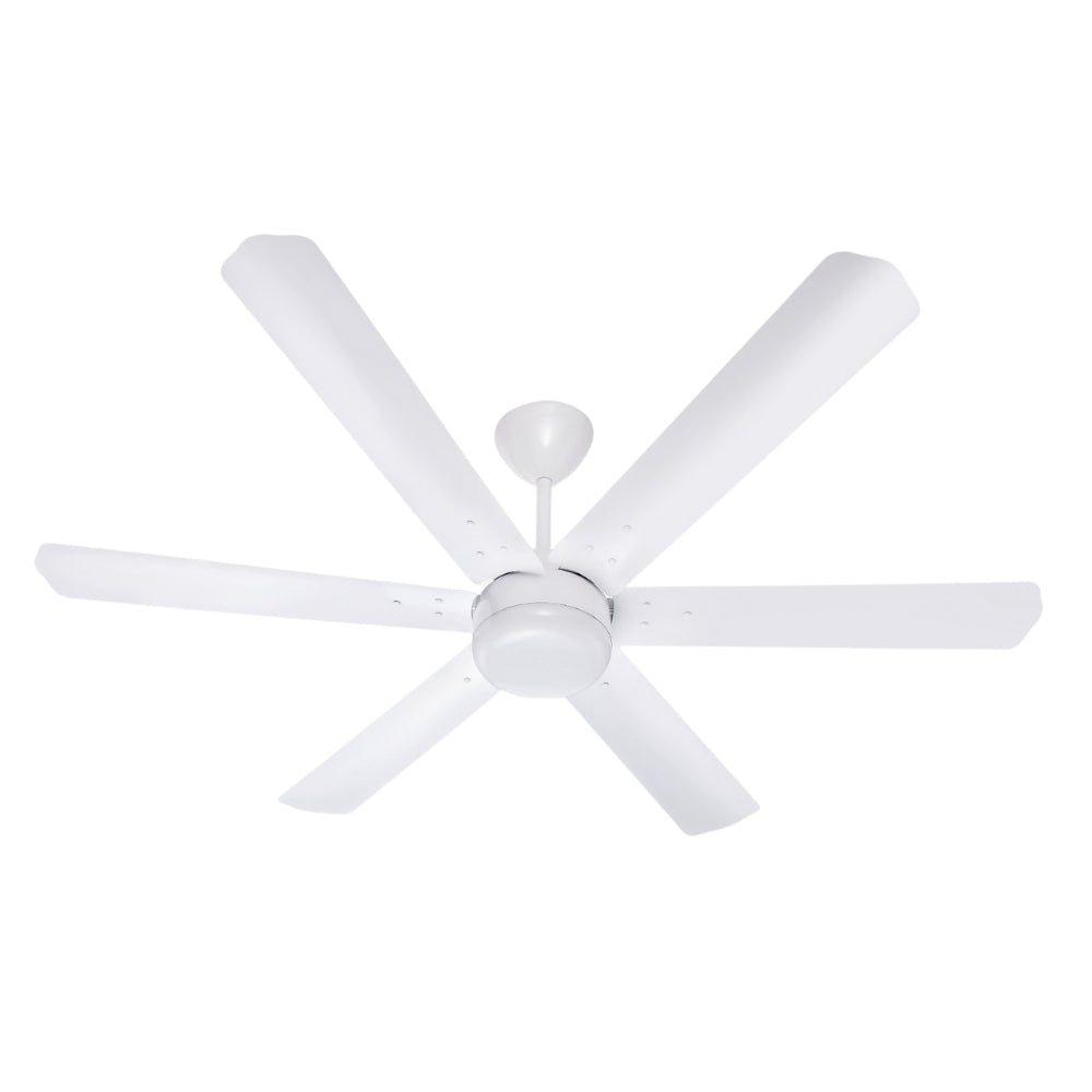 Brassica BLDC Ceiling Fan 48