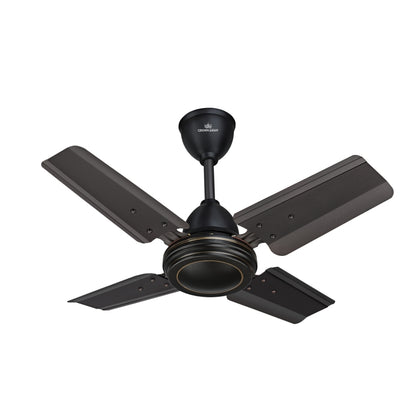 Crown Asian Little Eco 24 Ceiling Fan